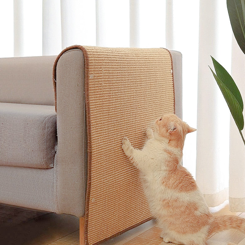 Cat scratching a beige sisal scratch pad on a gray sofa arm, home decor, pet furniture, cat scratcher, living room, feline activity, indoor pet care.