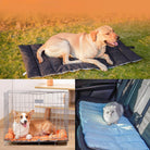 Foldable waterproof outdoor dog mat, durable pet bed for travel, black and blue options.