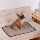 French Bulldog sitting on a beige sofa with a quilted pet mat, next to a wooden side table with a vintage alarm clock. Cozy home decor.