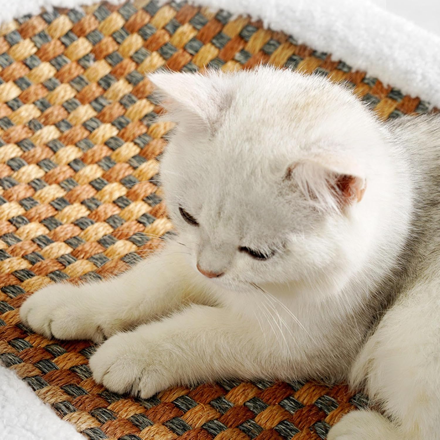 White cat resting on a woven pet bed, featuring a soft, textured surface. Ideal for cozy cat naps. Perfect pet accessory for comfort and style.