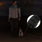 Person walking a small dog at night, both wearing reflective gear and LED lights for safety. Nighttime dog walking, reflective pet accessories.