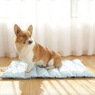 Corgi sitting on a blue foldable waterproof outdoor dog mat in a sunlit room.