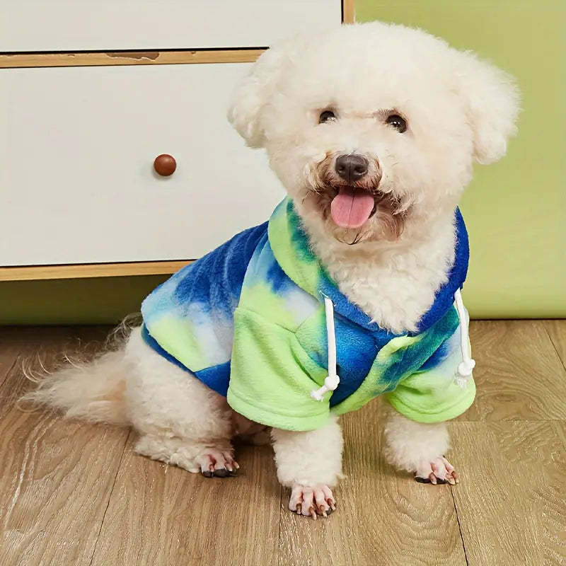 Cute white dog wearing a colorful tie-dye hoodie, sitting on wooden floor. Fluffy pet fashion, cozy dog apparel, trendy canine outfit.