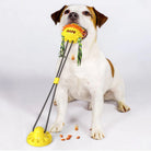 Dog playing with interactive chew toy featuring a suction cup base and sunflower design, promoting dental health and mental stimulation.