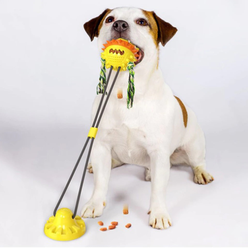 Dog playing with interactive chew toy featuring a suction cup base and sunflower design, ideal for dental health and entertainment.