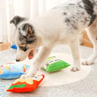 Playful Border Collie puppy interacting with colorful plush toys on a rug, showcasing pet playtime, dog toys, and indoor activity for energetic dogs.