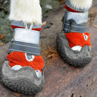 Horse wearing protective red and gray hoof boots on a wooden surface, showcasing durable equine footwear for trail riding and hoof protection.