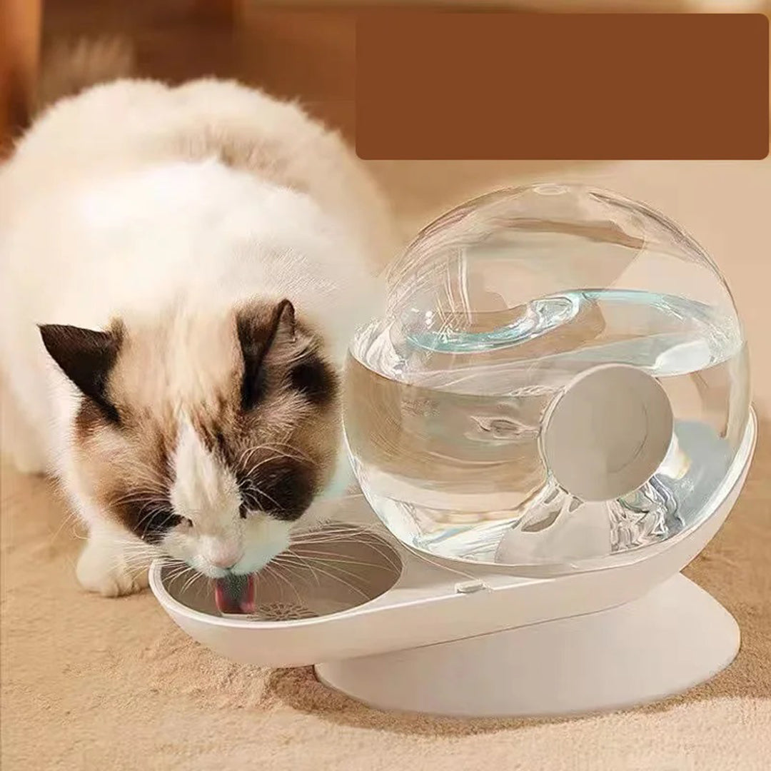 Cat drinking from a modern spherical pet water fountain on beige carpet. Automatic cat water dispenser, pet hydration, stylish pet accessory.