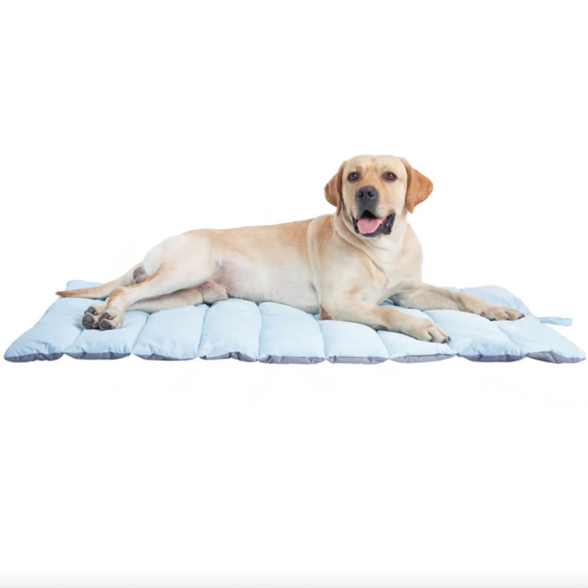 Foldable waterproof outdoor dog mat with Labrador lying on it, durable travel pet accessory.