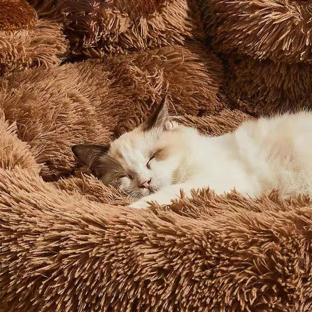 Fluffy cat sleeping on a cozy, brown shaggy pet bed, providing comfort and warmth. Ideal for pet relaxation, luxury cat bedding, soft pet furniture.