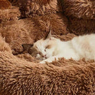 Fluffy cat sleeping on a cozy, brown shaggy pet bed, providing comfort and warmth. Ideal for pet relaxation, luxury cat bedding, soft pet furniture.