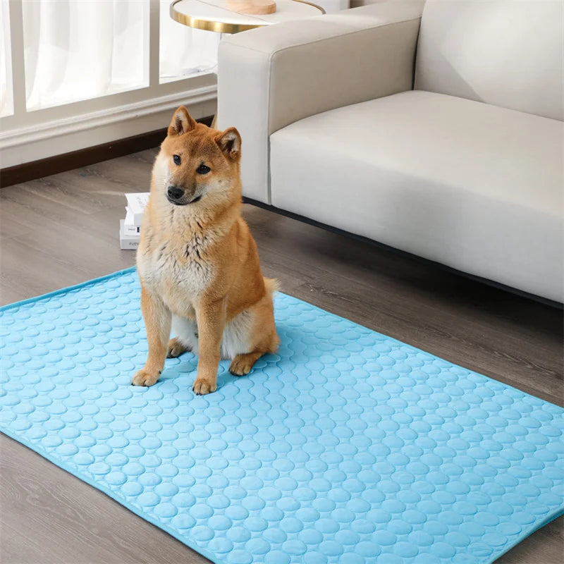 Shiba Inu dog sitting on a blue cooling mat in a modern living room, next to a beige sofa. Pet cooling mat, home decor, dog comfort.