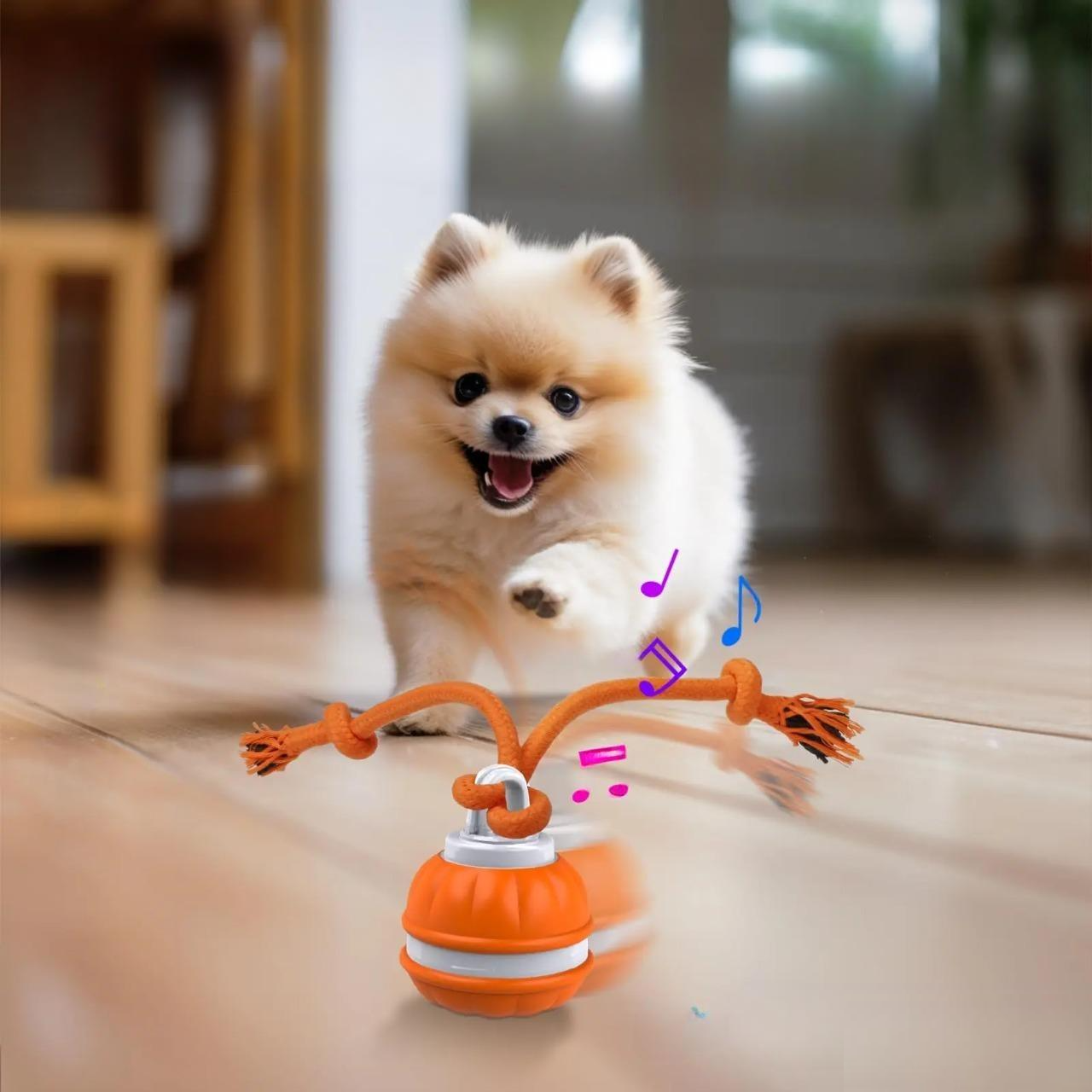 Cute Pomeranian puppy playing with an interactive orange dog toy featuring musical notes, promoting pet engagement and mental stimulation.