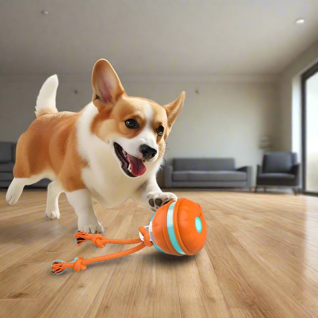 Corgi playing with interactive dog toy on wooden floor in modern living room; orange and blue toy with ropes, pet entertainment, indoor activity.