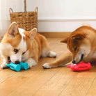 Two dogs playing with colorful chew toys on a wooden floor, enhancing pet engagement and dental health. Perfect dog toys for active playtime.