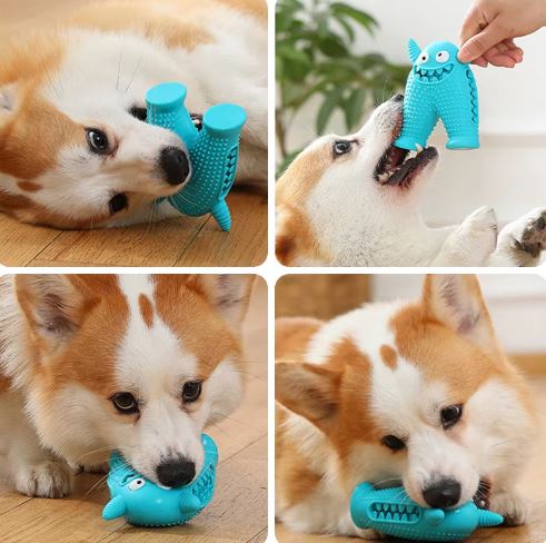 Corgi playing with a blue monster-shaped dog chew toy. Durable, interactive pet toy for small dogs. Ideal for dental health and teething puppies.