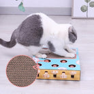 Cat playing with interactive toy box featuring holes and scratching surface, designed for mental stimulation and exercise. Perfect for indoor cats.