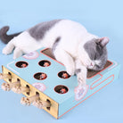 Cat playing with interactive toy box featuring multiple holes and paw levers, designed for feline entertainment and mental stimulation.