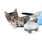 Kitten playing with an electric cat massager on a white background. Pet relaxation device, feline massage tool, stress relief for cats.