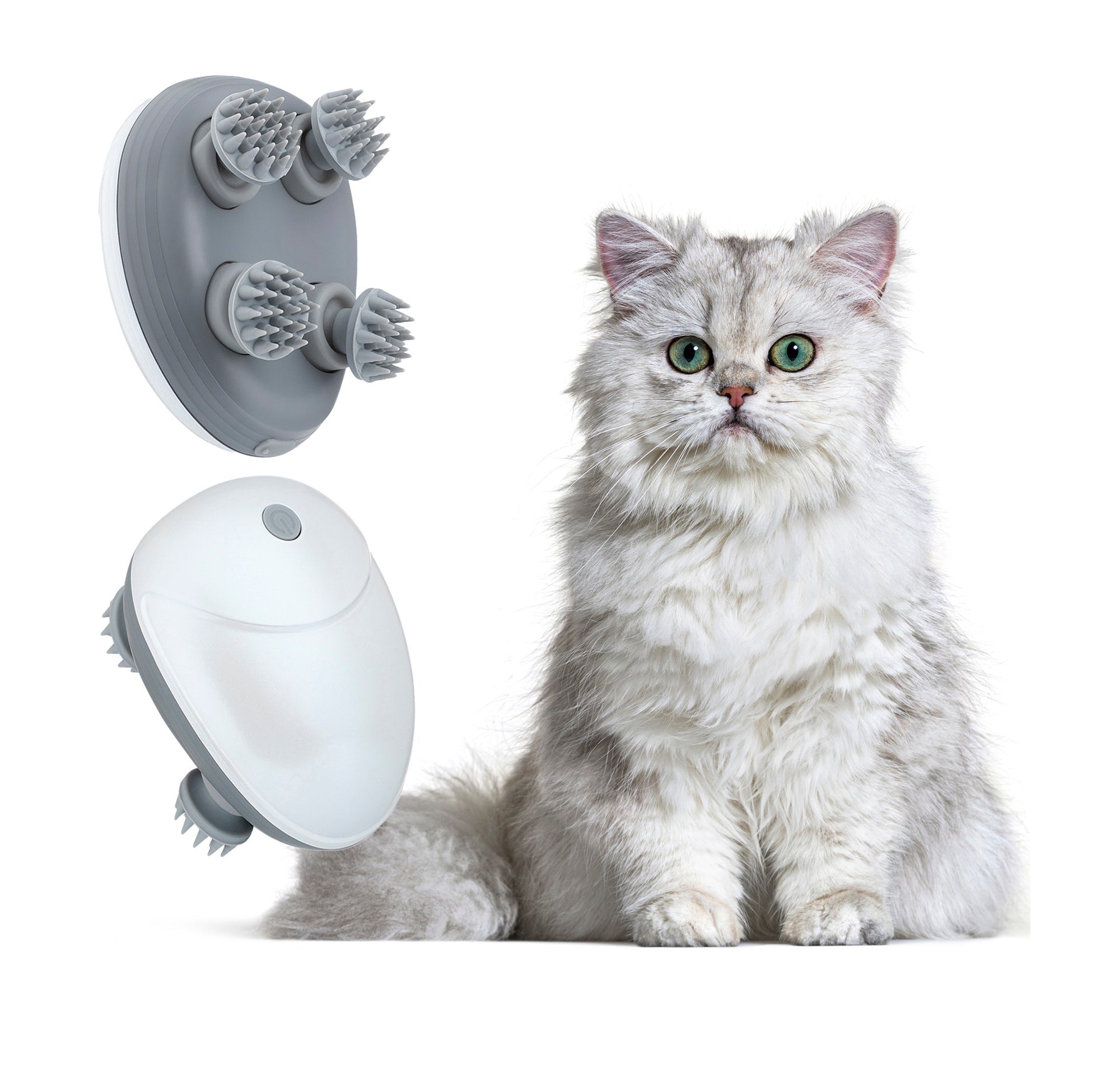 Electric cat massager with rotating brushes next to a fluffy white cat. Ideal for pet relaxation and grooming. Perfect cat accessory for stress relief.