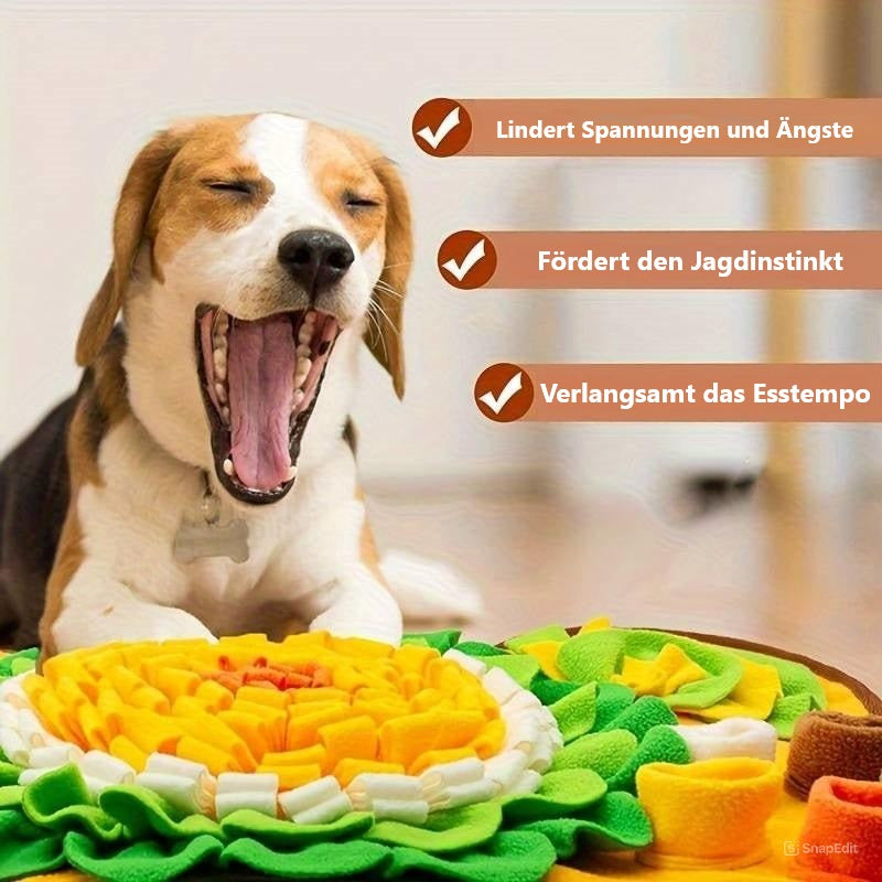 Beagle yawning near colorful dog snuffle mat; promotes stress relief, hunting instincts, and slows eating. Ideal for pet enrichment and mental stimulation.