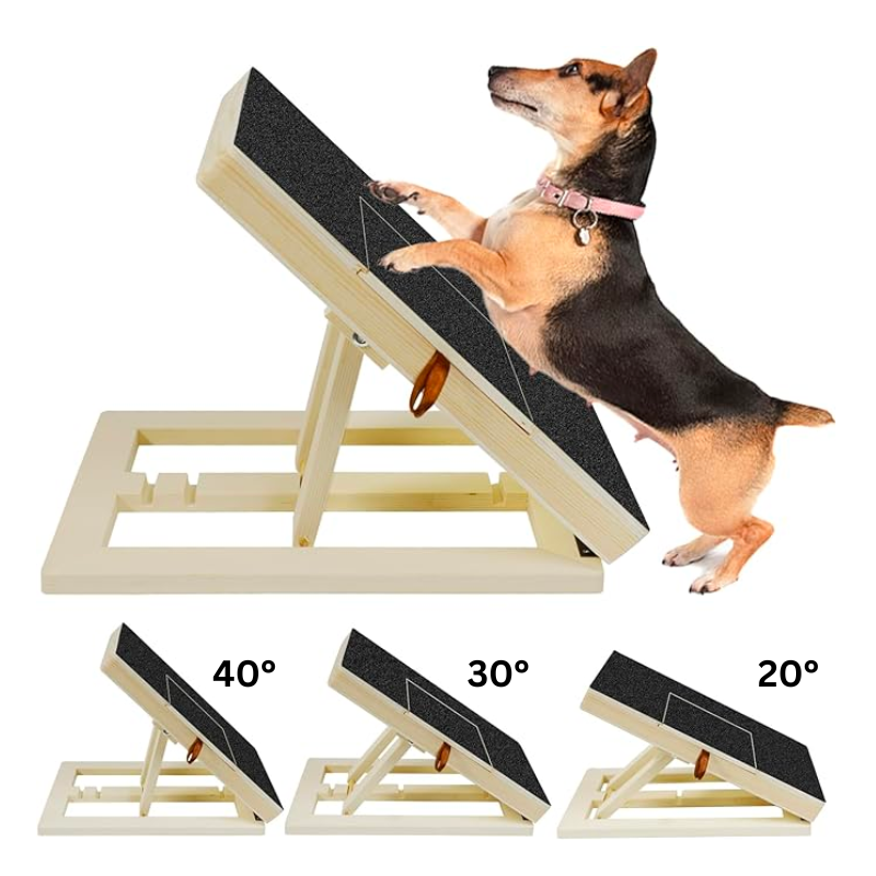 Dog scratch board with adjustable angles (20°, 30°, 40°) for nail care, featuring a dog using the board. Ideal pet grooming tool with treats.