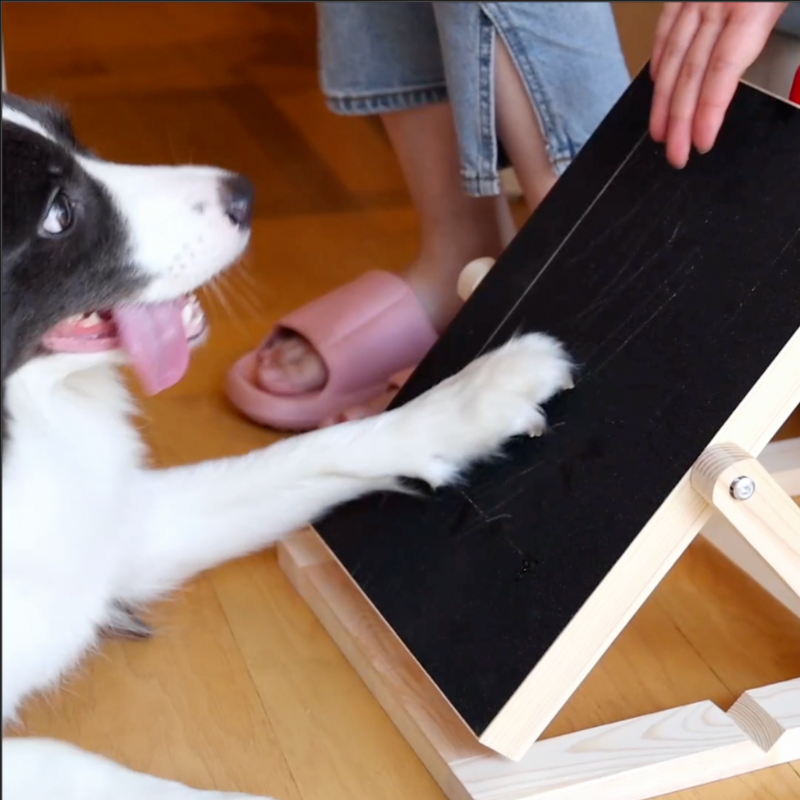 Dog using a scratch board with treats; pet training tool for nail care. Ideal for dog grooming, interactive play, and positive reinforcement.