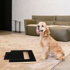 Dog using a scratch board with treats on a carpeted floor in a modern living room; pet grooming, dog care, interactive pet toy.