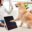 Golden Retriever using a dog scratch board with treats, interacting with a woman indoors. Pet grooming tool, dog training, canine nail care.