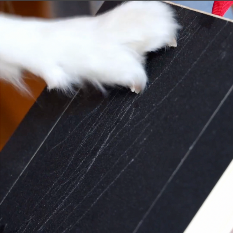 Dog scratching board with treats, featuring a white paw on a textured surface. Ideal for pet nail care, grooming, and interactive play.