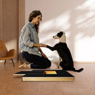 Woman training dog with paw on scratch board in modern living room; dog training tool, pet care, interactive play, home decor.