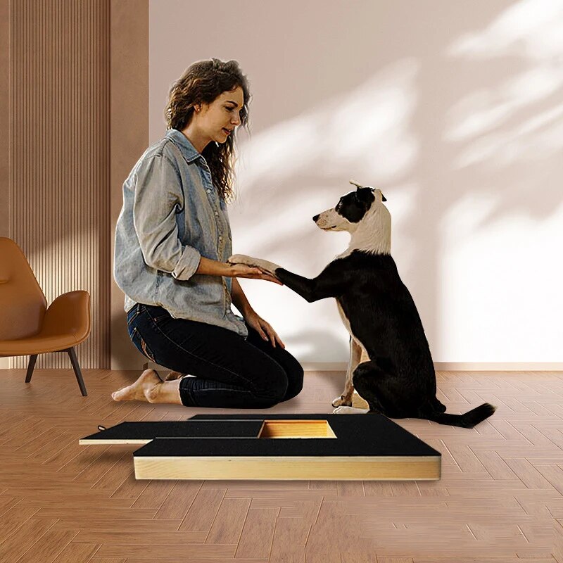 Woman training dog with paw on scratch board in modern living room; dog training tool, pet care, interactive play, home decor.