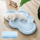 Fluffy white dog sleeping on a blue cooling mat for pets, with a textured surface, on a wooden floor. Ideal for pet comfort and temperature regulation.