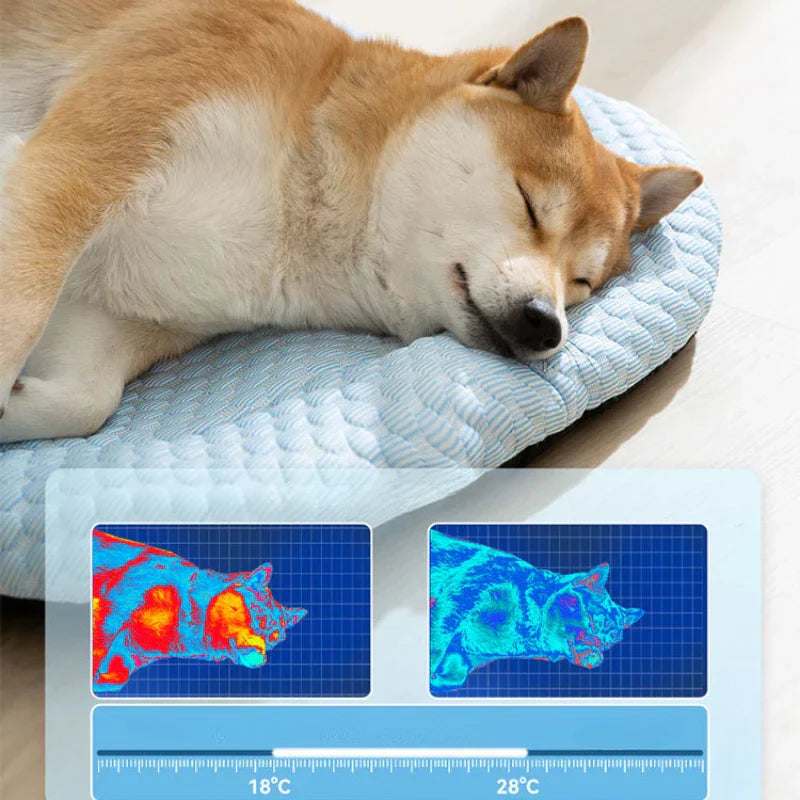 Sleeping dog on cooling mat with thermal images; pet cooling pad, temperature control, summer pet accessory, dog comfort, heat relief.