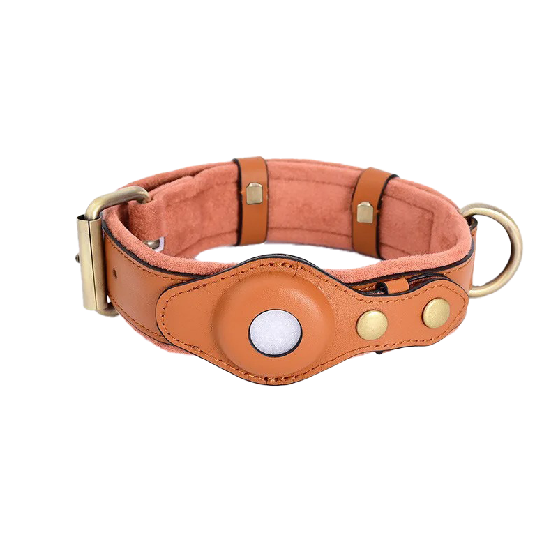 Luxury leather dog collar with brass buckle and ring, featuring a built-in AirTag holder. Durable pet accessory for tracking and style.