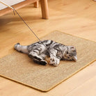 Cat playing on a natural sisal scratcher mat, ideal for scratching and claw maintenance. Durable sisal carpet with adhesive dots for stability.