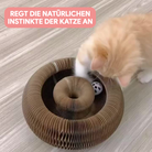 Fluffy kitten playing with interactive cardboard ring toy featuring a ball inside. Cat toy stimulates natural instincts. Perfect for pet entertainment.