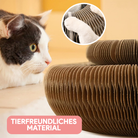 Cat playing with eco-friendly cardboard ring toy; durable, interactive pet entertainment; sustainable, safe material for feline fun.