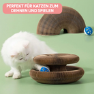 Cat playing with interactive cardboard ring toy and blue ball on green background; perfect for stretching and entertainment.