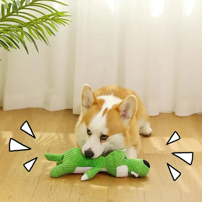 Corgi playing with green interactive dog toy on wooden floor, sunlight streaming through window, enhancing playful pet scene.