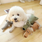 Fluffy white dog with interactive plush toys on wooden floor, featuring durable chewable designs for pet playtime. Perfect for dog entertainment.