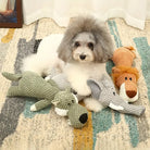 Small dog with fluffy gray and white fur surrounded by interactive plush dog toys, including a lion, elephant, and crocodile, on a patterned rug.