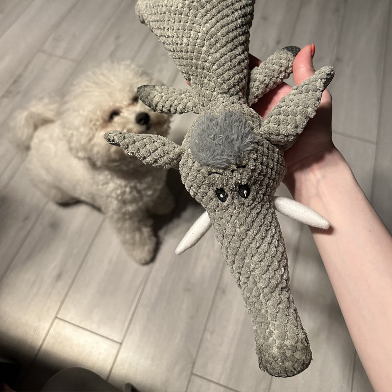 Interactive plush dog toy shaped like an elephant, held by a person, with a fluffy white dog on a wooden floor. Perfect for pet playtime.