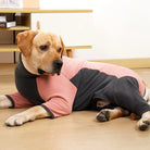 Dog wearing a pink and gray fleece jacket, lying on a wooden floor in a cozy home setting. Pet clothing, dog fashion, comfortable dog apparel.