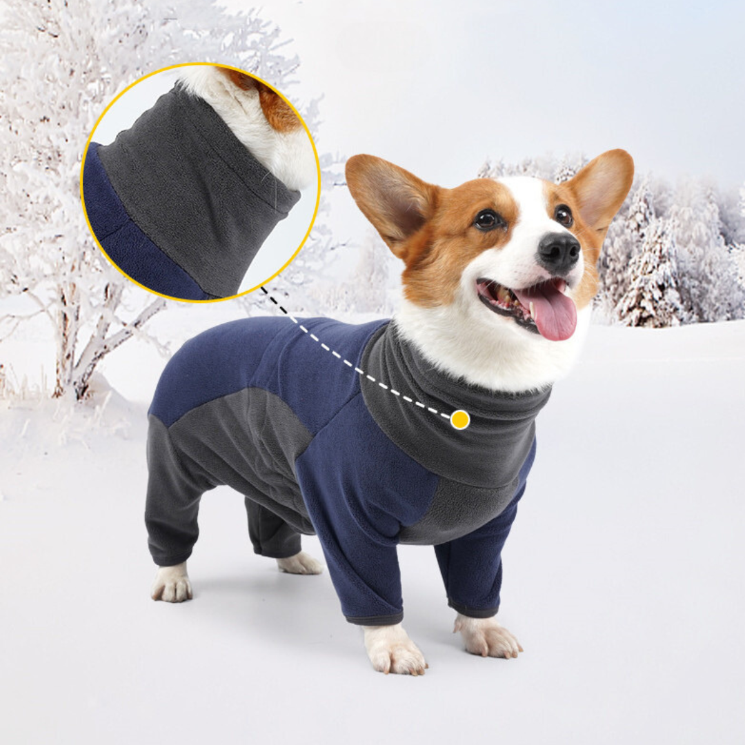 Corgi wearing a blue and gray fleece dog jacket in snowy landscape, showcasing warm pet apparel for winter. Cozy, stylish dog clothing for cold weather.