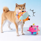 Shiba Inu playing with a colorful embroidered squeaky ball pet toy. Bright, durable, interactive dog toy for fun and exercise.