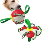 Durable dog toy ball with green ropes, red and white design, perfect for interactive play and chewing. Ideal for active pets.