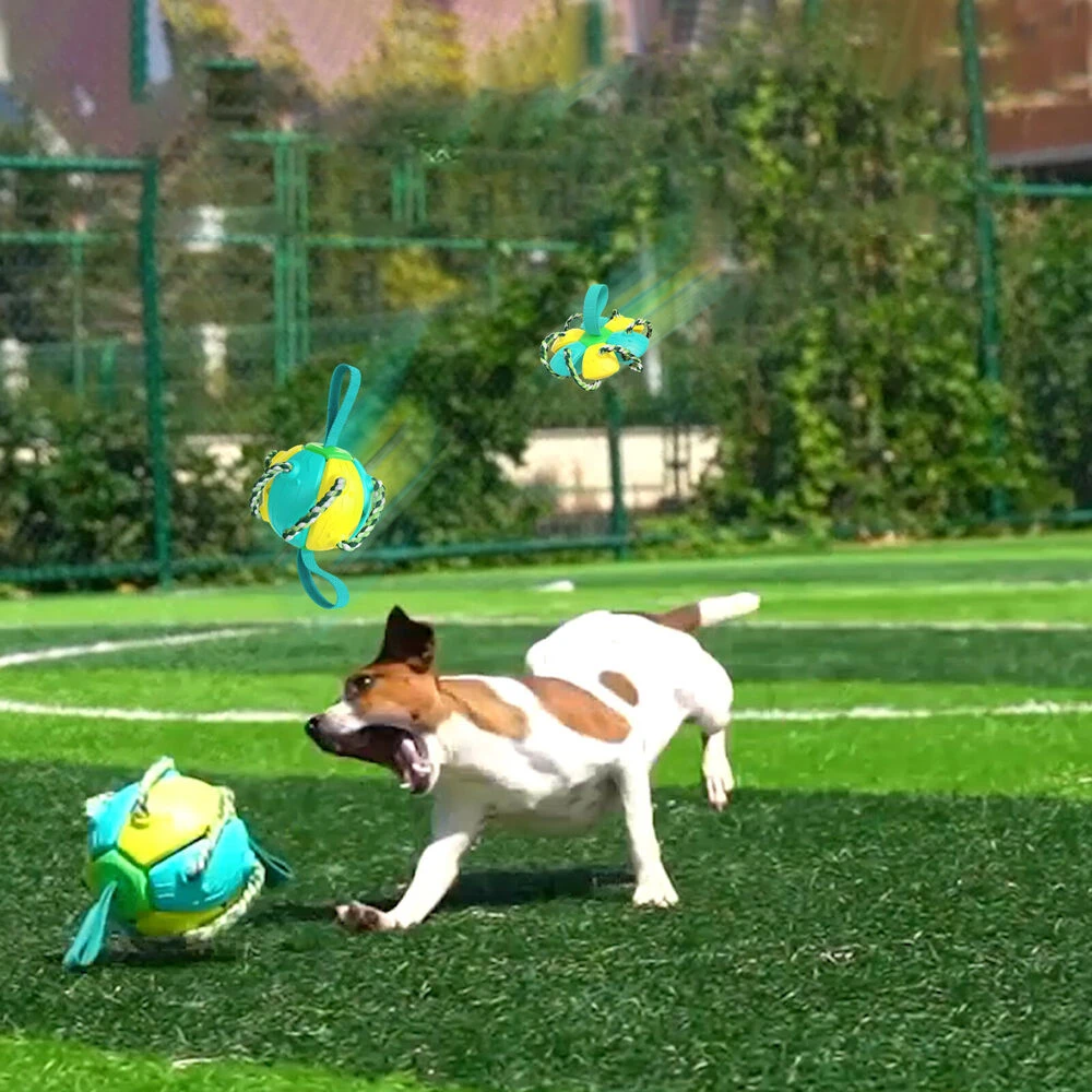 Dog playing with interactive flying ball toy on grass field; durable, engaging pet toy for outdoor fun and exercise; perfect for active dogs.