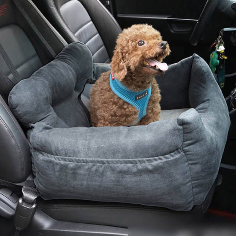 Small brown dog in blue harness sitting in a gray plush dog car seat on a vehicle's passenger seat, designed for pet travel safety and comfort.