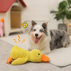 Happy dog with yellow plush duck toy, durable and vocal, perfect for teeth gritting and puppy play. Ideal for Golden Retrievers and Corgis.